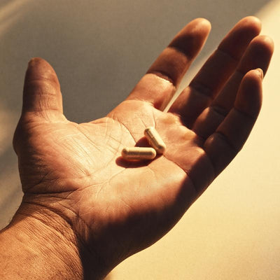 Alpha Brain Nootropic Brain Supplement