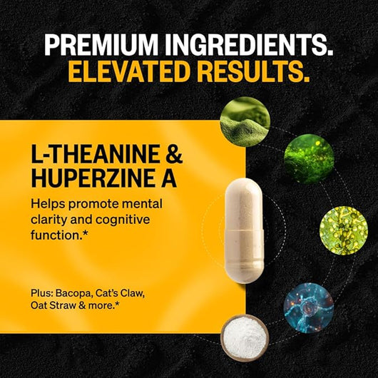 Alpha Brain Nootropic Brain Supplement