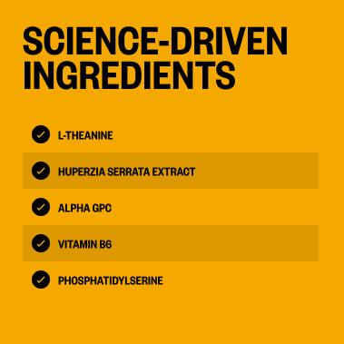 Alpha Brain Nootropic Brain Supplement